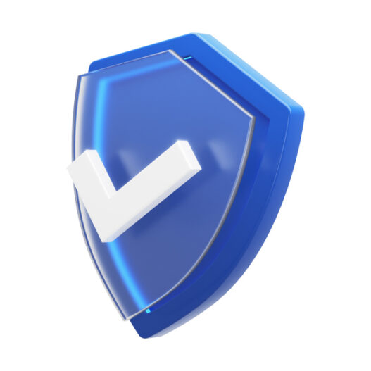 Website Security